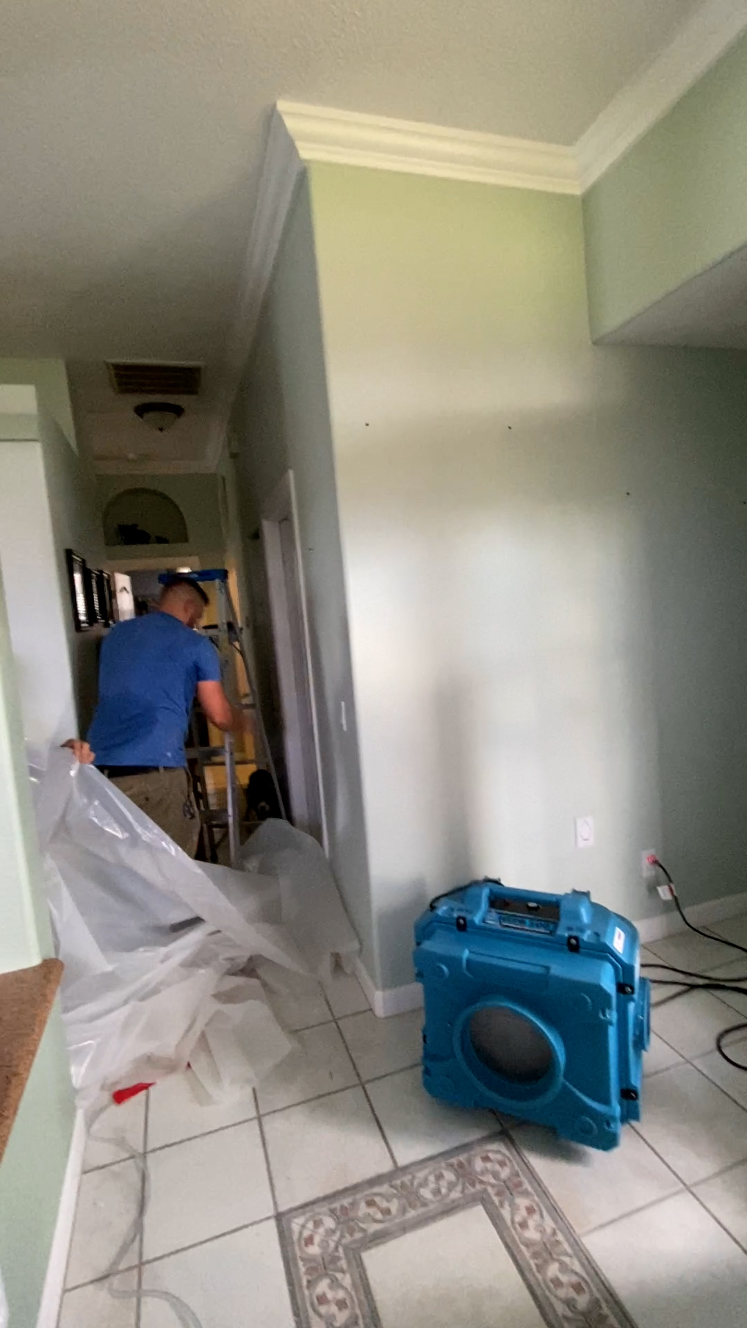 mold removal, water damage, attic mold removal, black mold cleanup, inspection for mold, mold removers